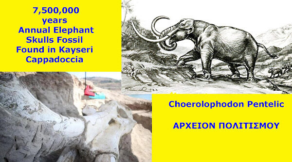 Ελέφαντας της Πεντέλης 7.500.000 χρόνων βρέθηκε στην Καππαδοκία! Του Γιώργου Λεκάκη